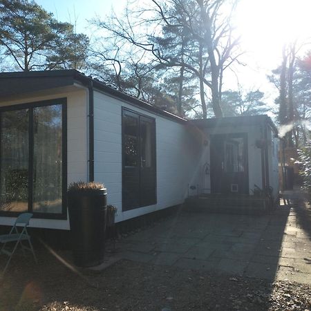 Wulft 47 Zonnig Gezellig 6P Chalet Met Zwembad In Bosrijke Omgeving Op Familie Camping De Vossenburcht IJhorst Eksteriør billede