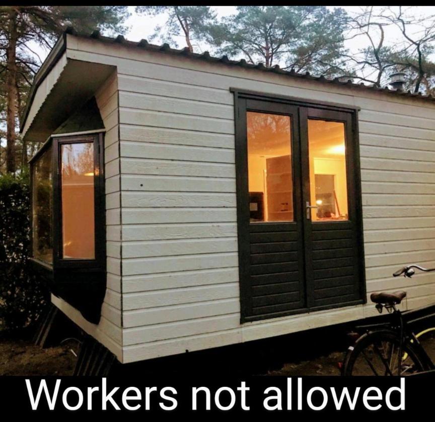 Wulft 47 Zonnig Gezellig 6P Chalet Met Zwembad In Bosrijke Omgeving Op Familie Camping De Vossenburcht IJhorst Eksteriør billede