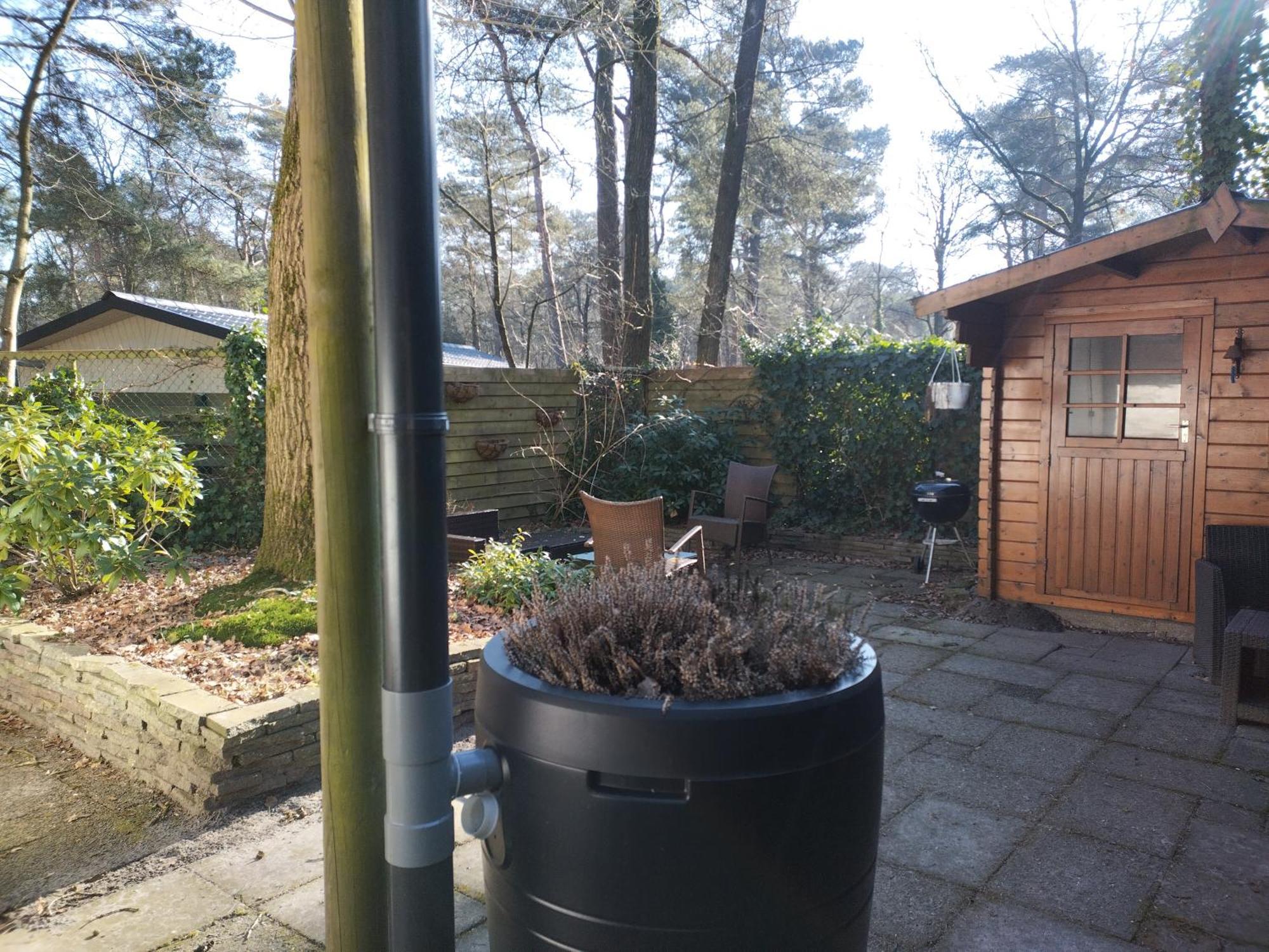 Wulft 47 Zonnig Gezellig 6P Chalet Met Zwembad In Bosrijke Omgeving Op Familie Camping De Vossenburcht IJhorst Eksteriør billede