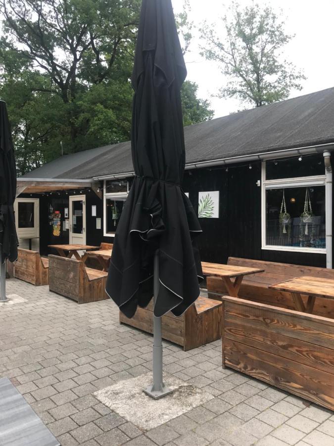 Wulft 47 Zonnig Gezellig 6P Chalet Met Zwembad In Bosrijke Omgeving Op Familie Camping De Vossenburcht IJhorst Eksteriør billede